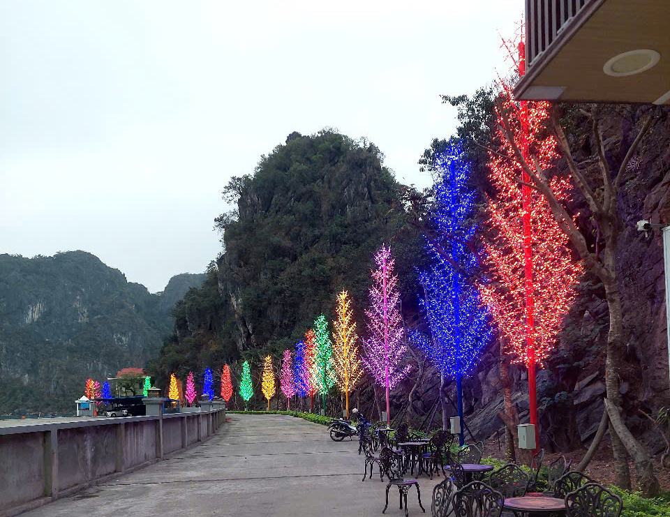 Cột Đèn Cây Thông LED Cao 5m 6m 7m 8m 9m 10m 11m 12m Nhà máy sản xuất cột đèn cây thông LED